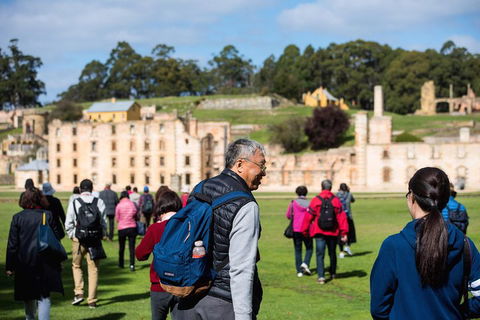 Port Arthur Express Shuttle - SA Accommodation 4