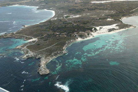 Full Day Tour By Seaplane To Rottnest Island Small Group Trip - SA Accommodation 5