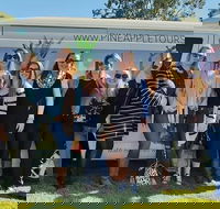 Full Day Mount Tamborine Winery Tour from Gold Coast - SA Accommodation