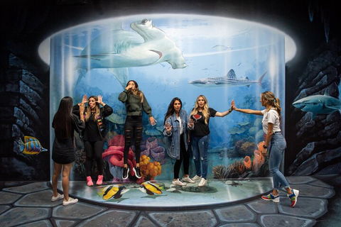 ArtVo Immersive Gallery Experience - SA Accommodation 2