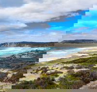 Kangaroo Island Luxury Small Group 'East End Explorer' Full Day Tour - SA Accommodation