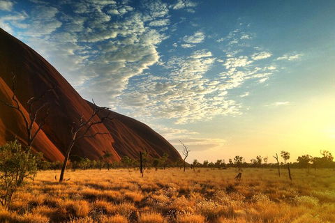 Highlights Of Uluru Including Sunrise And Breakfast - SA Accommodation 0