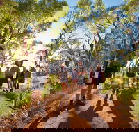 Uluru Small Group Tour including Sunset - SA Accommodation