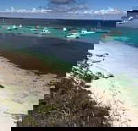 Experience Rottnest with Ferry  Bike Hire from Perth or Fremantle - SA Accommodation