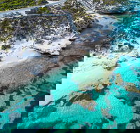 Rottnest Island Round-Trip Ferry from Perth or Fremantle - SA Accommodation