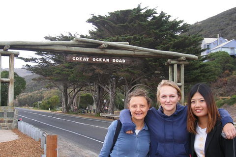 Full-Day Great Ocean Road And 12 Apostles Sunset Tour From Melbourne - SA Accommodation 1