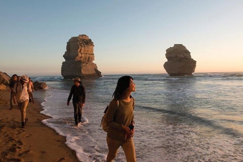 Full-Day Great Ocean Road And 12 Apostles Sunset Tour From Melbourne - SA Accommodation 4