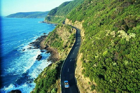 Melbourne Super Saver: Great Ocean Road + Mornington Peninsula + Attraction Pass - SA Accommodation 0