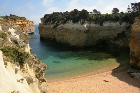 Melbourne Super Saver: Great Ocean Road + Mornington Peninsula + Attraction Pass - SA Accommodation 3