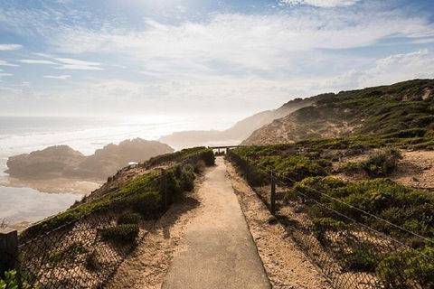 Melbourne Super Saver: Great Ocean Road + Mornington Peninsula + Attraction Pass - SA Accommodation 4