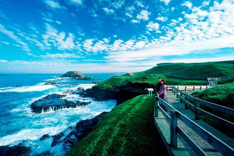 Phillip Island Penguin Parade Express Tour From Melbourne - SA Accommodation 4