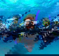Great Barrier Reef Diving and Snorkeling Cruise from Cairns - SA Accommodation