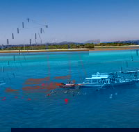 Ocean Free Green Island  Great Barrier Reef Snorkel Cruise Cairns 25 guests - SA Accommodation