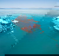Ocean Freedom Great Barrier Reef Personal Luxury Snorkel  Dive Cruise Cairns - SA Accommodation