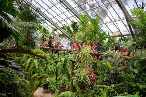 Australian Butterfly Sanctuary - SA Accommodation 0
