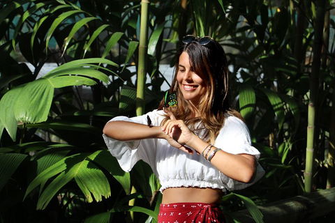 Australian Butterfly Sanctuary - SA Accommodation 1