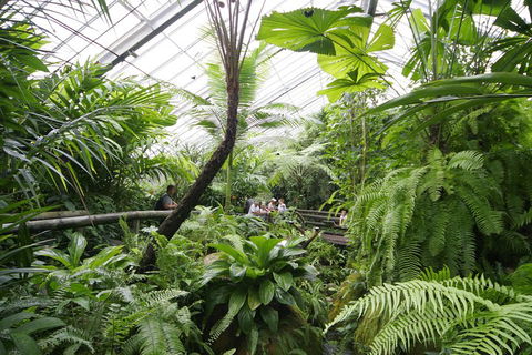Australian Butterfly Sanctuary - SA Accommodation 3
