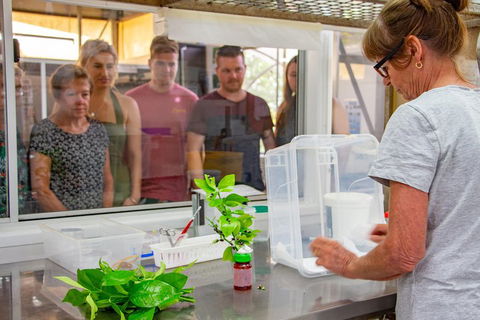Australian Butterfly Sanctuary - SA Accommodation 5