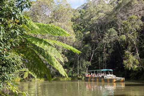 Kuranda Village, Army Duck Tour With Train And Skyrail (KDB) - SA Accommodation 4