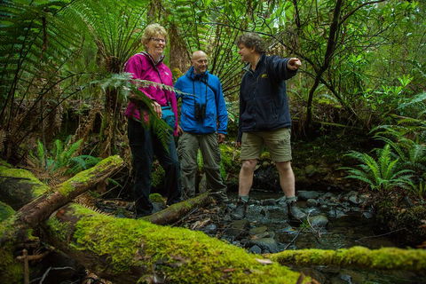 Bruny Island Traveller - Gourmet Tasting And Sightseeing Day Trip From Hobart - SA Accommodation 1