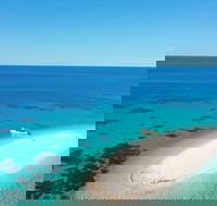 Ocean Safari Great Barrier Reef Experience in Cape Tribulation - SA Accommodation