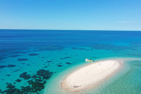 Ocean Safari Great Barrier Reef Experience In Cape Tribulation - SA Accommodation 0