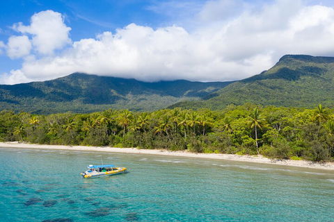 Ocean Safari Great Barrier Reef Experience In Cape Tribulation - SA Accommodation 2