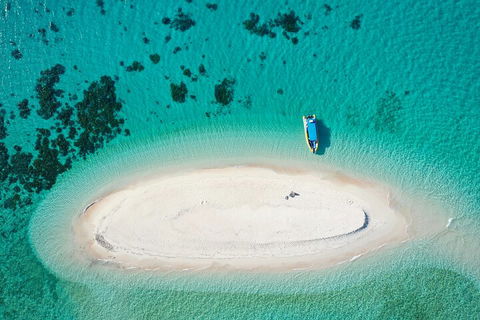 Ocean Safari Great Barrier Reef Experience In Cape Tribulation - SA Accommodation 3