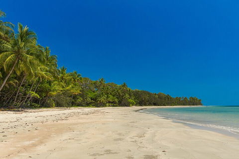 Ocean Safari Great Barrier Reef Experience In Cape Tribulation - SA Accommodation 4