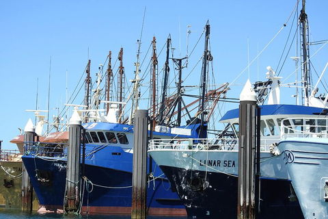 One Day Port Lincoln Tour - Tasting Eyre - SA Accommodation 0