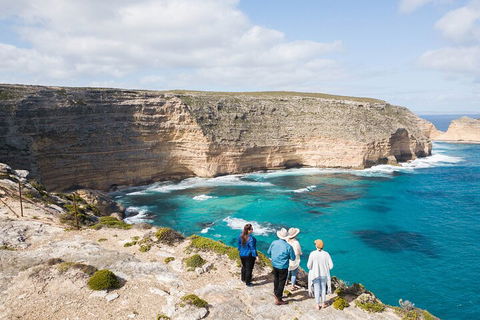 One Day Port Lincoln Tour - Tasting Eyre - SA Accommodation 1