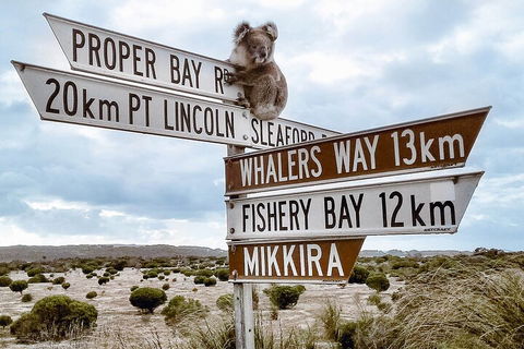 One Day Port Lincoln Tour - Tasting Eyre - SA Accommodation 2