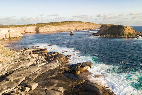 One Day Port Lincoln Tour - Tasting Eyre - SA Accommodation 3