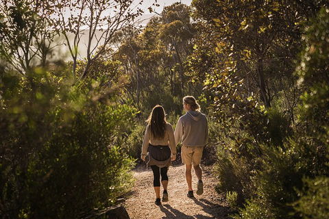 One Day Port Lincoln Tour - Tasting Eyre - SA Accommodation 5