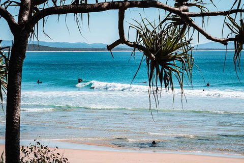 Sunshine Coast Hinterland And Noosa Day Trip From Brisbane Including Eumundi Markets And Ginger Factory - SA Accommodation 5