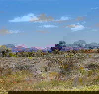 Overnight Uluru Ayers Rock Small-Group Camping Tour - SA Accommodation