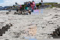 Book Viator Accommodation Vacations SA Accommodation SA Accommodation