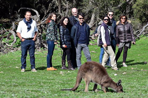 2-Day Kangaroo Island 4WD Small-Group Tour From Adelaide - SA Accommodation 1