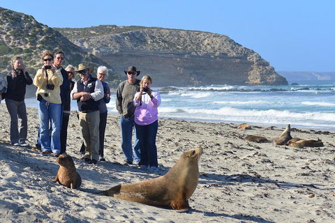 2-Day Kangaroo Island 4WD Small-Group Tour From Adelaide - SA Accommodation 3