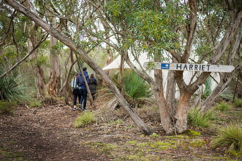 2-Day Kangaroo Island 4WD Small-Group Tour From Adelaide - SA Accommodation 5