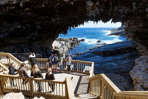 Full Day Flinders Chase Tour From Kangaroo Island - SA Accommodation 1