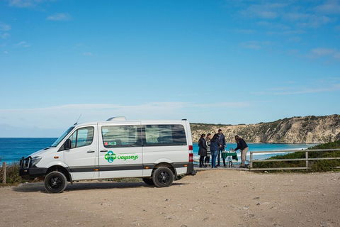 Full Day Flinders Chase Tour From Kangaroo Island - SA Accommodation 3