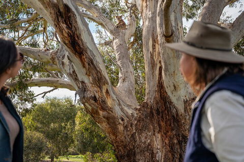 Full Day Flinders Chase Tour From Kangaroo Island - SA Accommodation 5
