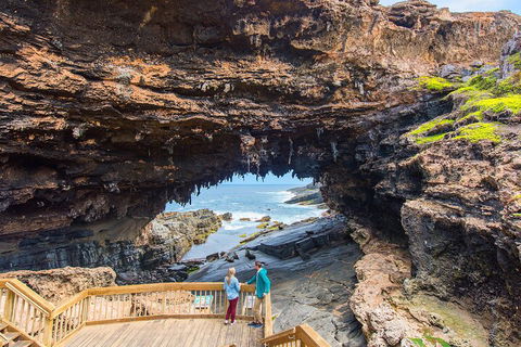 Full-Day Kangaroo Island Experience Departing From Kangaroo Island - SA Accommodation 3