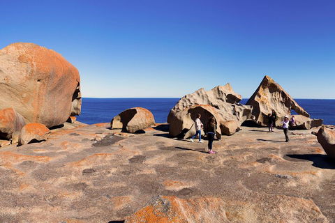 Full-Day Kangaroo Island Experience Departing From Kangaroo Island - SA Accommodation 4