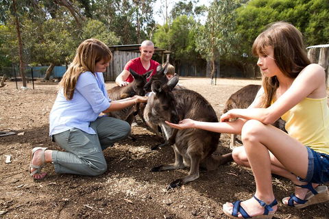 Full-Day Kangaroo Island Experience Departing From Kangaroo Island - SA Accommodation 5