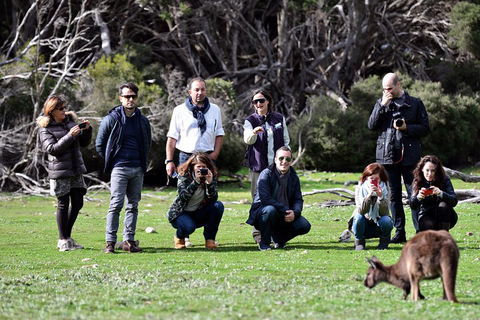 Small-Group Kangaroo Island 4WD Tour From Adelaide - SA Accommodation 2