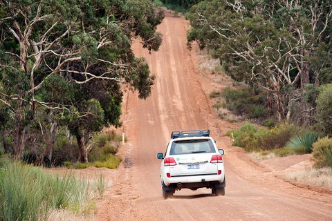 Small-Group Kangaroo Island 4WD Tour From Adelaide - SA Accommodation 3