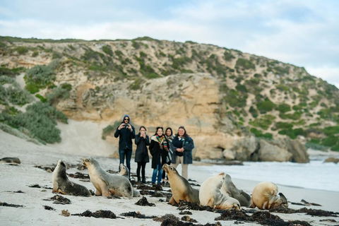 Small-Group Kangaroo Island 4WD Tour From Adelaide - SA Accommodation 4