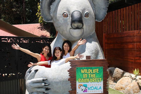 Kuranda Koala Gardens And Birdworld Admission Tickets - SA Accommodation 3